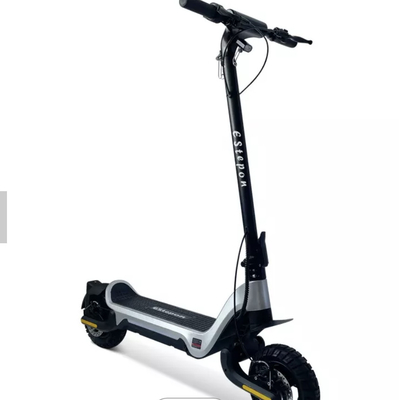 Im Verkauf 12 Zoll-Rad 250 Watt-elektrischer Straßen-Roller für Erwachsene