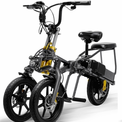 Im Verkauf ODM tragbares elektrisches Rad-elektrischer Roller des Straßen-Roller-250w zwei